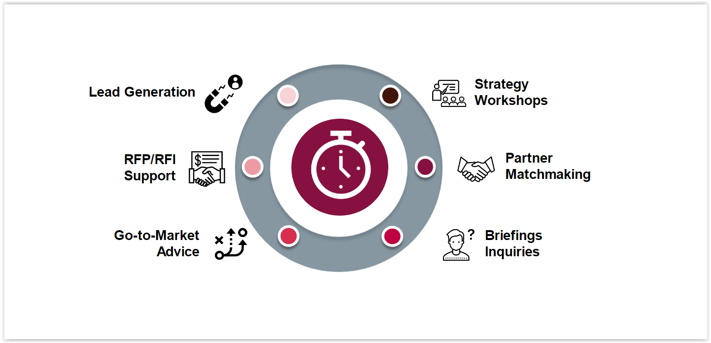 Go-to-market diagram covering strategy workshops, partner matchmaking, briefings, go-to-market advice, RFP and RFI support, and lead generation.